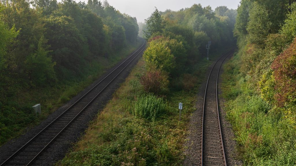 Two railway tracks diverging through a misty green cutting.