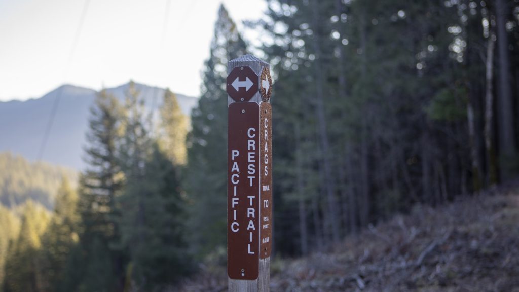 A wooden trail signpost at the edge of a conifer forest, pointing along the route.